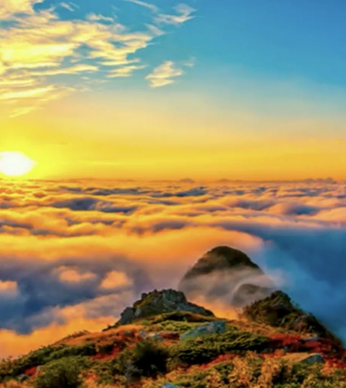 Rize Valiliği'nden havaalanı paylaşımı