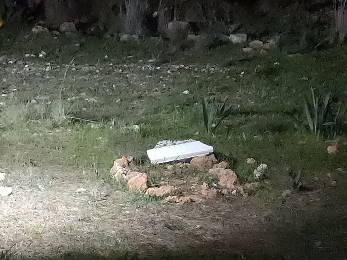 Antalya'da ormandaki mezardan köpek ölüsü çıktı