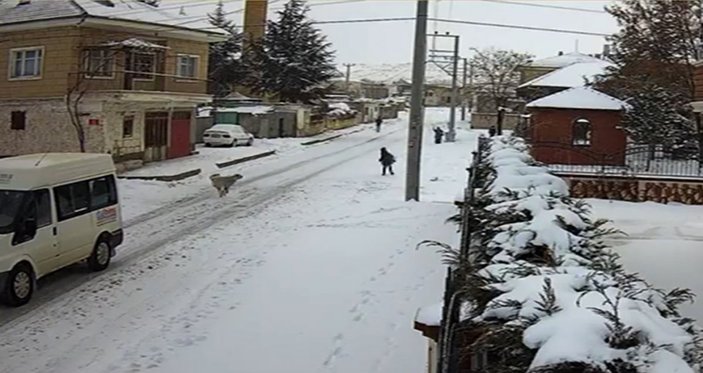 Nevşehir'de çocuğu kovalayan sokak köpeği kamerada