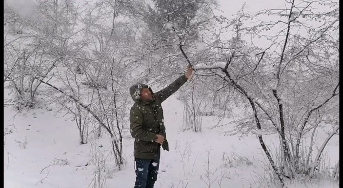 Fındık