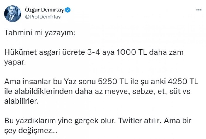 Özgür Demirtaş'a göre asgari ücrete zam çözüm değil