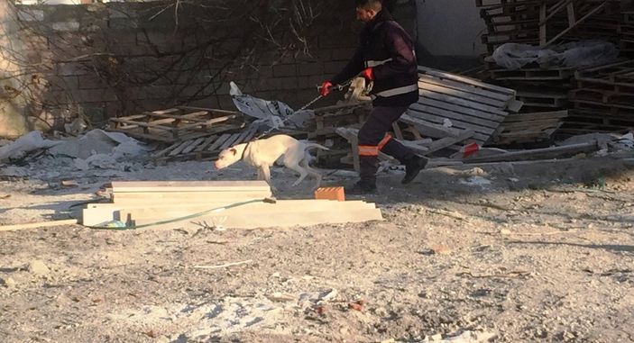 İ Konya'da bulunan yasaklı ırk köpek yakalanıp barınağa götürüldü