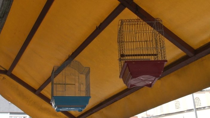 Ümraniye'de pet shoptan kafes çalan hırsız kameraya el hareketi çekti
