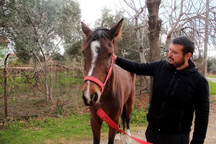 Antalya’da hırsız çaldığı atla markete girdi