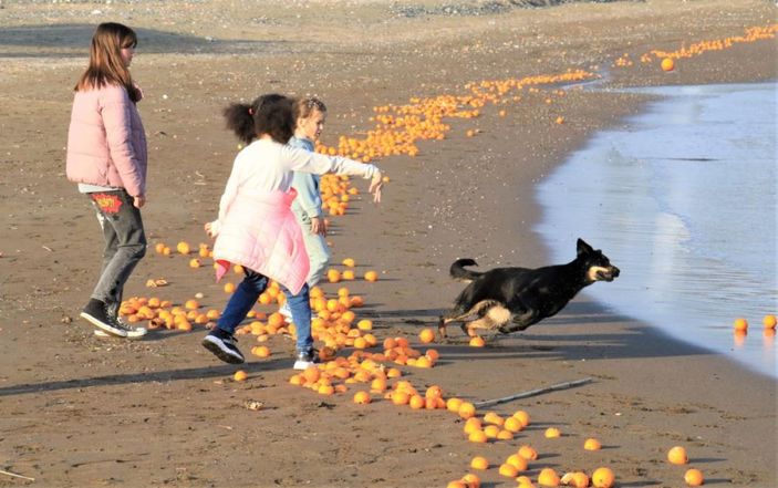 Mersin’de portakallar sahile vurdu