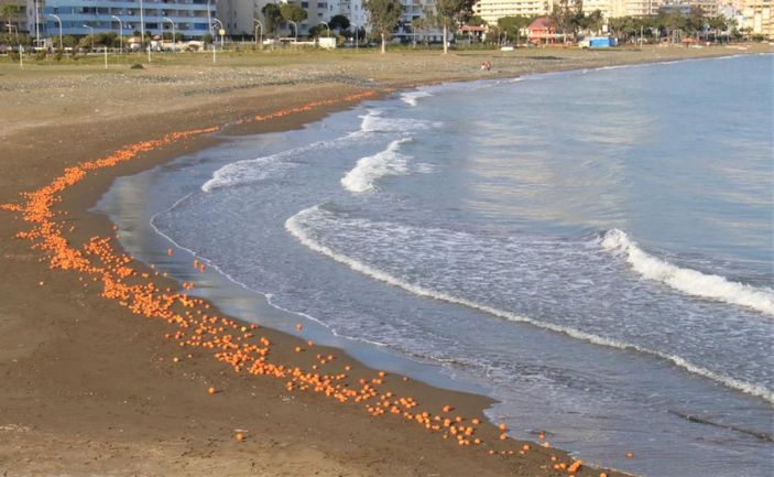 Mersin’de portakallar sahile vurdu