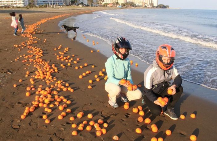 Mersin’de portakallar sahile vurdu