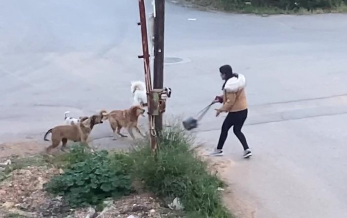 Mersin’de sokak köpekleri genç kıza saldırdı