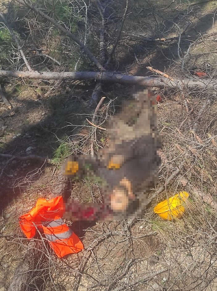 Antalya’da arkadaşının kestiği ağaç üzerine düşünce öldü