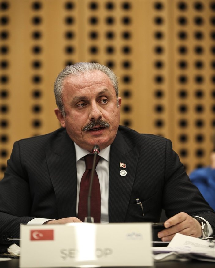 Mustafa Şentop'tan AB toplantısında tepki: Türkiye'ye at gözlüğü ile bakmayın