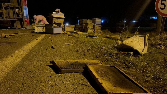 Şanlıurfa’da kovan yüklü pikap kaza yaptı, arılar yola saçıldı