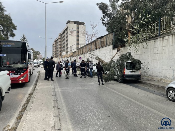 İzmir'de 2 ağaç, arabaların üzerine devrildi