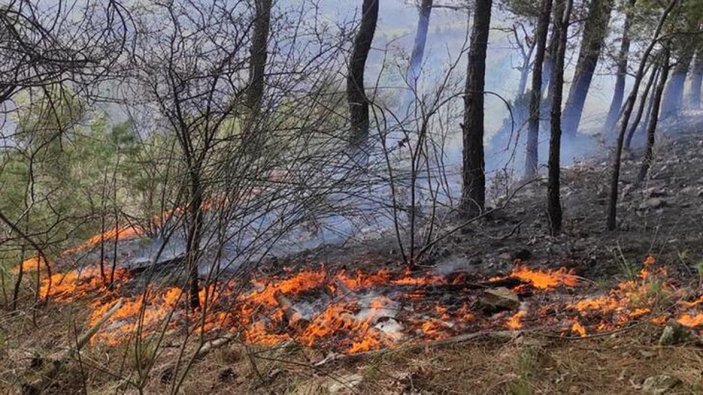 Çanakkale'de ormanda çıkan yangına müdahale sürüyor