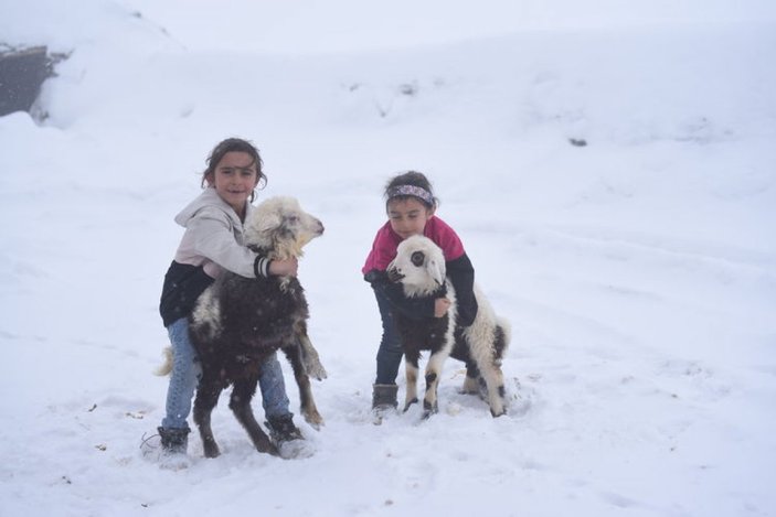 Kars'ta kışın ardından doğan oğlak ve kuzular besicileri mutlu etti