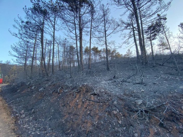 Bursa'da orman yangını: 18 saatin sonunda kontrol altına alındı