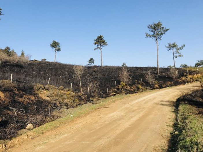 Çanakkale'de çıkan orman yangını 18 saat sonra kontrol altında