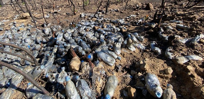 Antalya’da, ormanın içinde bulunan çöp yığını tepki çekti