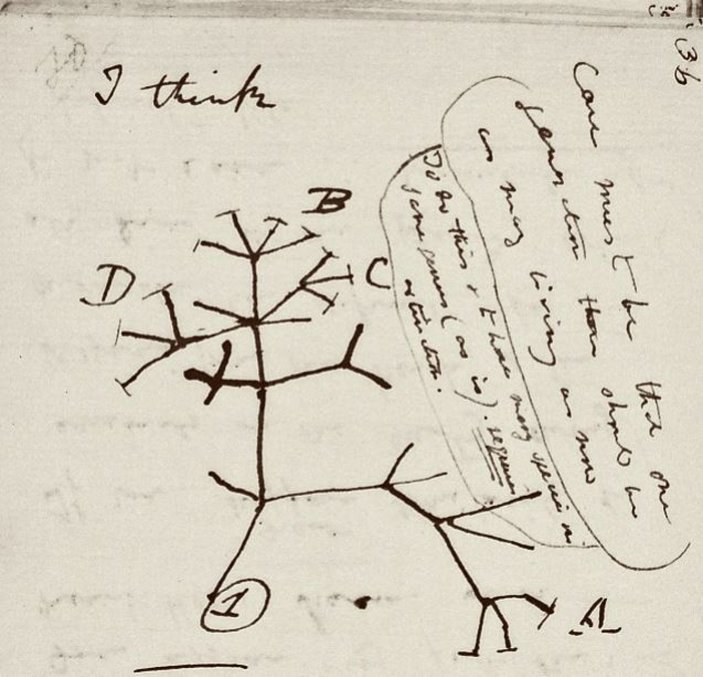 Darwin’in kayıp not defterleri, 22 yıl sonra ortaya çıktı