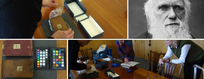Darwin’in kayıp not defterleri, 22 yıl sonra ortaya çıktı