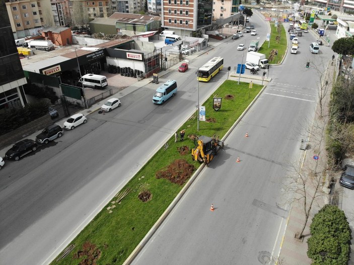 Ataşehir'de İBB'nin ağaçları sökmesi tepki çekti
