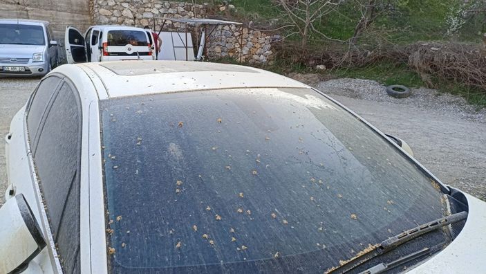 d Toz taşınımı Güneydoğu'da etkisini gösterdi