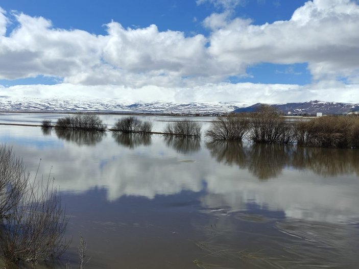 Ardahan'da karların erimesi sonucu Kura Nehri taştı