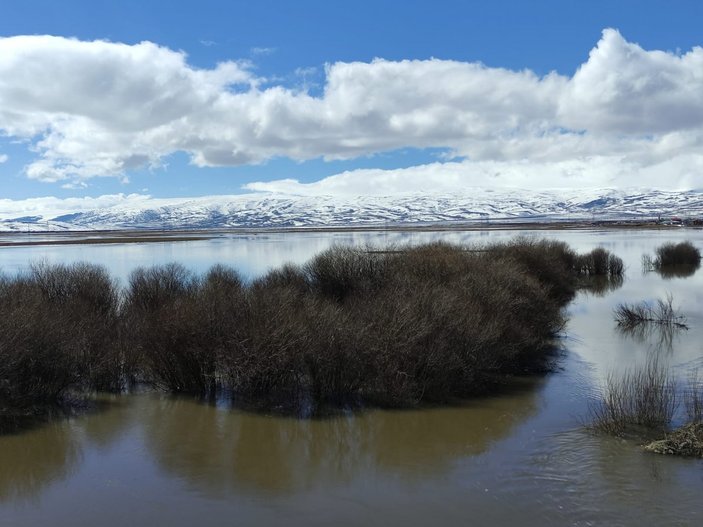 Ardahan'da karların erimesi sonucu Kura Nehri taştı