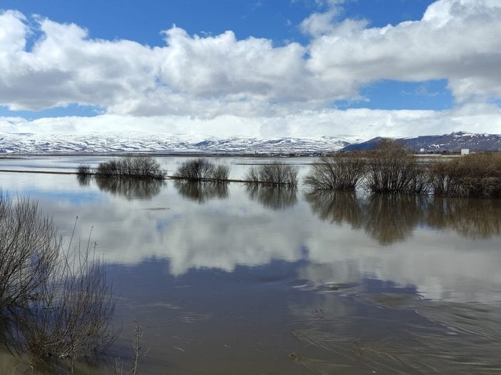 Ardahan'da karların erimesi sonucu Kura Nehri taştı
