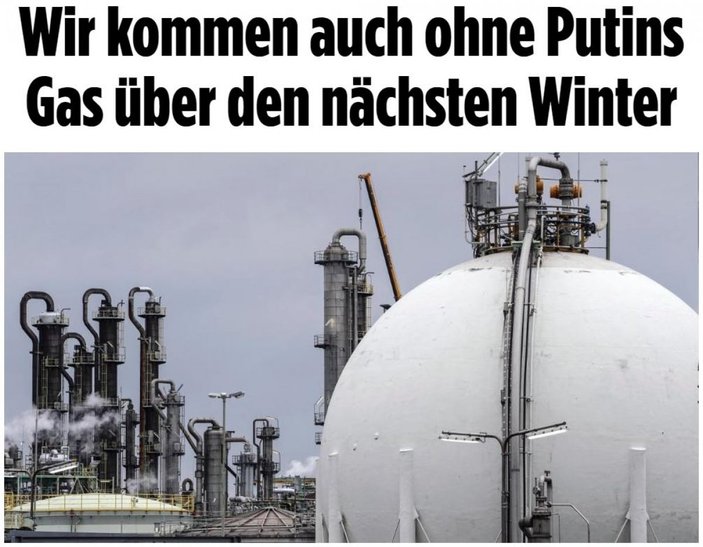 Bild: Gelecek kışı Putin'in gazı olmadan geçirebiliriz