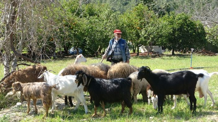 Antalya’da yaşlı çift, 81 bin lira dolandırıldı