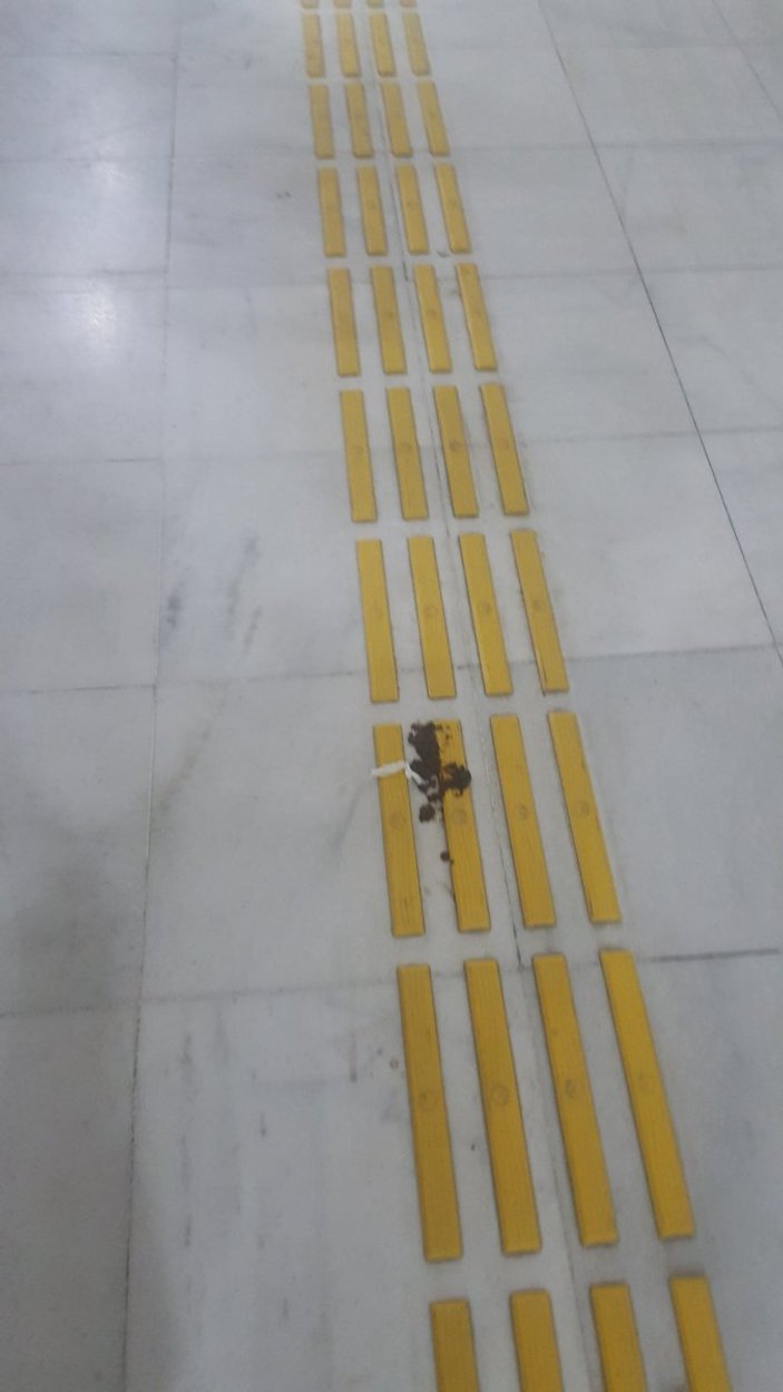 Kocaeli'de hastanedeki köpekler koridora pisledi