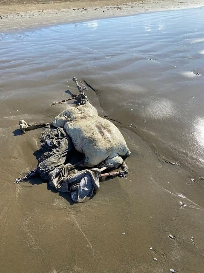 Hatay'daki sahilde başı olmayan, bazı uzuvları çürümüş ceset bulundu