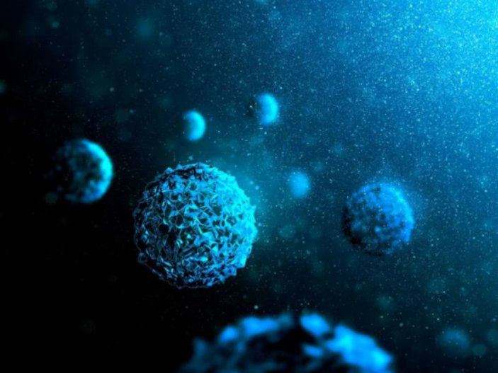 Dünya okyanuslarında tehlike: 5 bin 500’den fazla yeni virüs