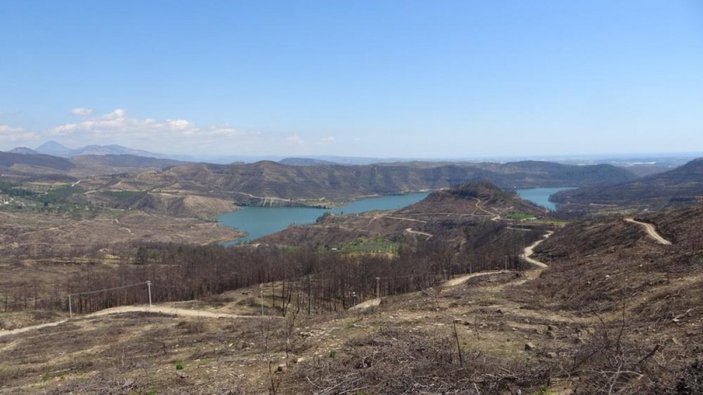 Manavgat’ta yanan bölgenin yüzde 70’i ağaçlandırıldı