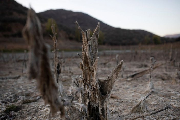 Şili'de kuraklığa önlem: Su, karneyle verilecek