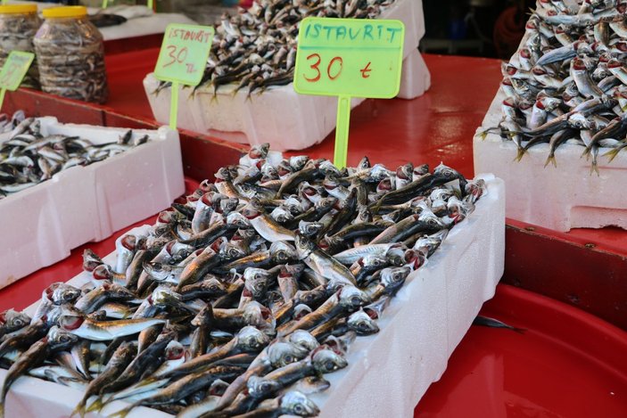 Rize'de sezonun son balıkları tezgahlarda yerini aldı