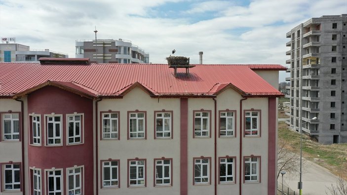 Sivas'ta leylekli okulun misafirleri geldi