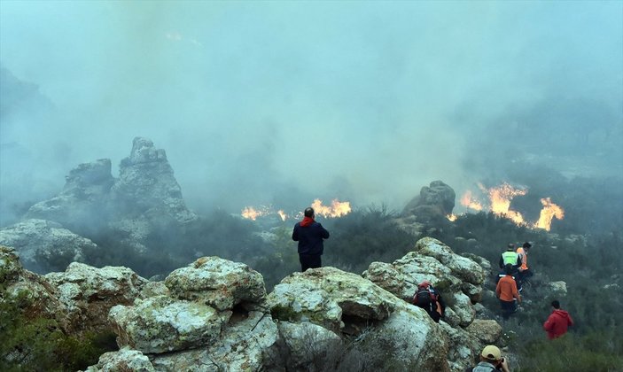 Bodrum'da ormanlık alanda yangın çıktı