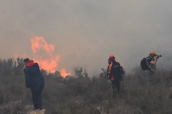 Bodrum'da ormanlık alanda yangın çıktı
