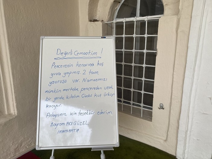 İzmir'de cami imamı, pencereye yuva yapan kumru için cemaati astığı notla uyardı