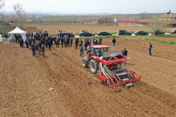 Kastamonu'da kendir ekildi