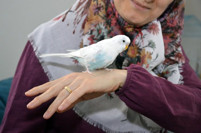 Sakarya’da tekbir getiren muhabbet kuşu