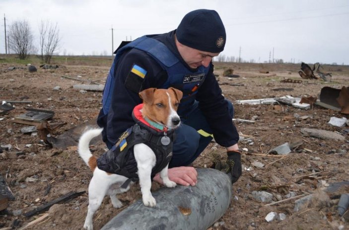 Rus ordusundan arındırılan Çernihiv’de patlayıcı madde temizliği devam ediyor