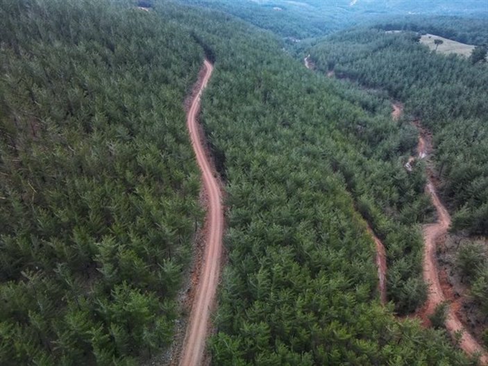 Adana'da yangın emniyet yolları ve şeritleri yapıldı