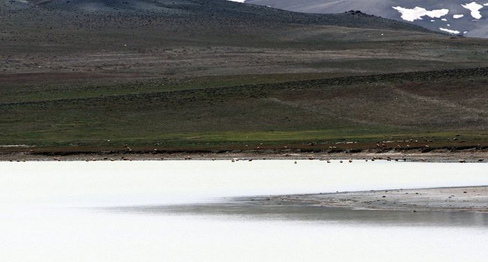 d Van'da tamamen kuruyan Tuz Gölü, yeniden su tuttu