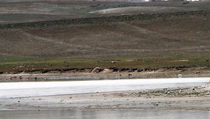 d Van'da tamamen kuruyan Tuz Gölü, yeniden su tuttu