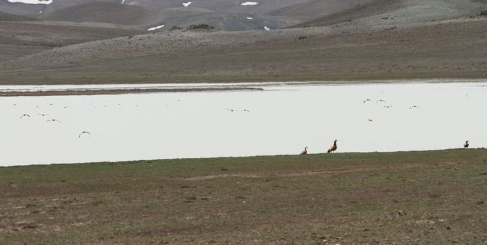 d Van'da tamamen kuruyan Tuz Gölü, yeniden su tuttu
