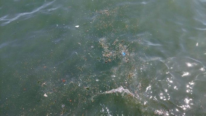 Tekirdağ'da, kanalizasyon atıklarının denize aktığı iddia edildi