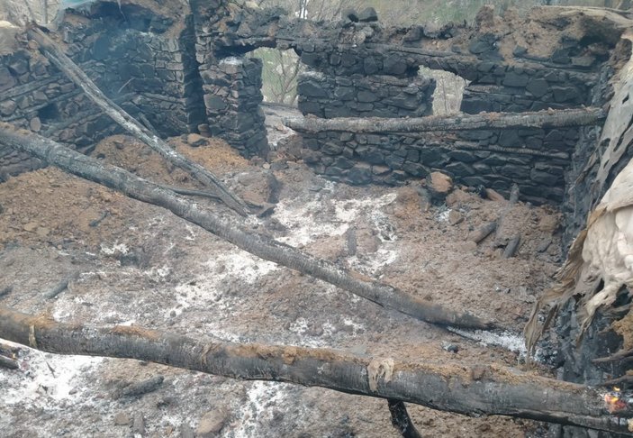 Diyarbakır'da ahır yangını: Hayvanlar telef oldu