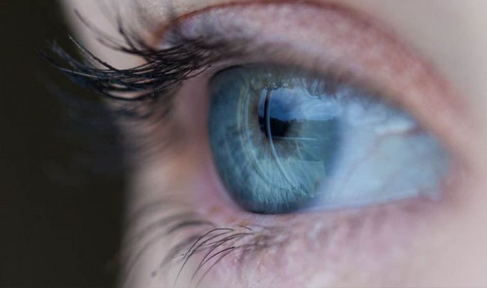 Bilim insanlarının geliştirdiği göz sayesinde körlük tarih olabilir